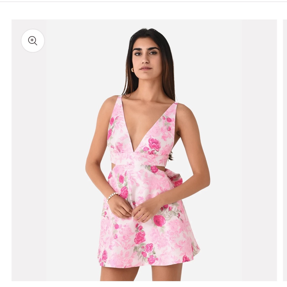 Loveshack Fancy Till Dress